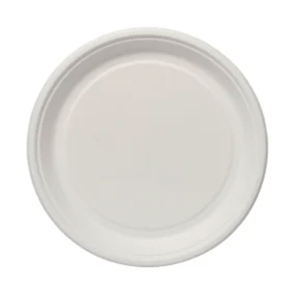 Disposable Plain Dish 10